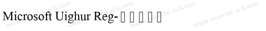 Microsoft Uighur Reg字体转换